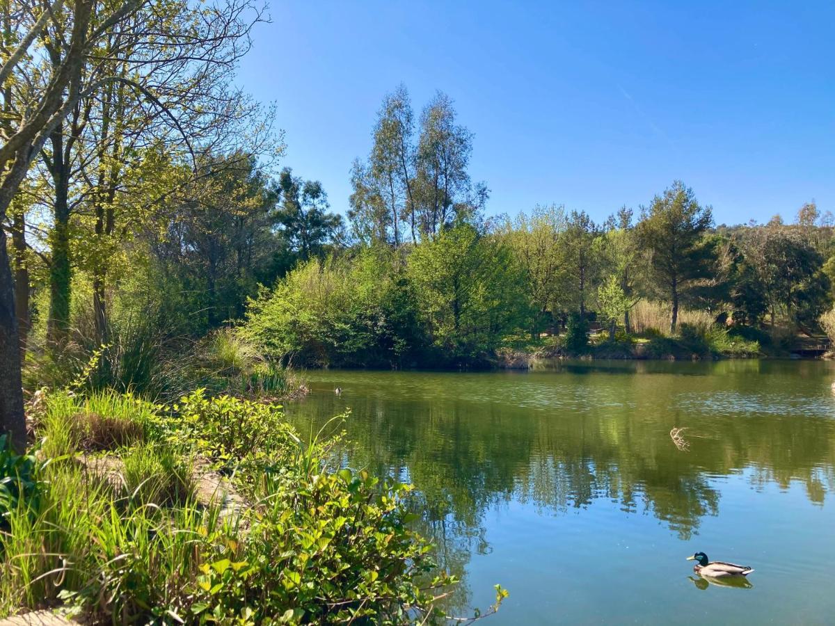Les Restanques Vue Mer 2148 Grimaud Dış mekan fotoğraf
